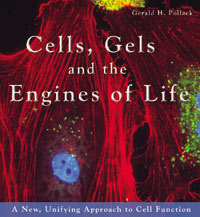 Cells, Gels and the Engines of Life - Figures (on CD)